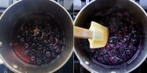 Low Carb Blueberry Sauce Recipe (12)